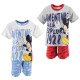Anterior