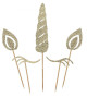 Anterior
