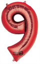Anterior