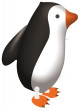 Anterior
