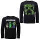 Anterior