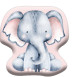 Anterior