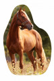 Anterior